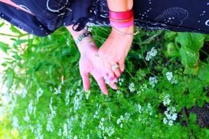 fleurs ambiance 3 - VPG - BD